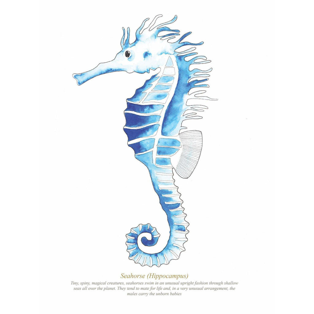 Seahorse Watercolour Print-SeaKisses