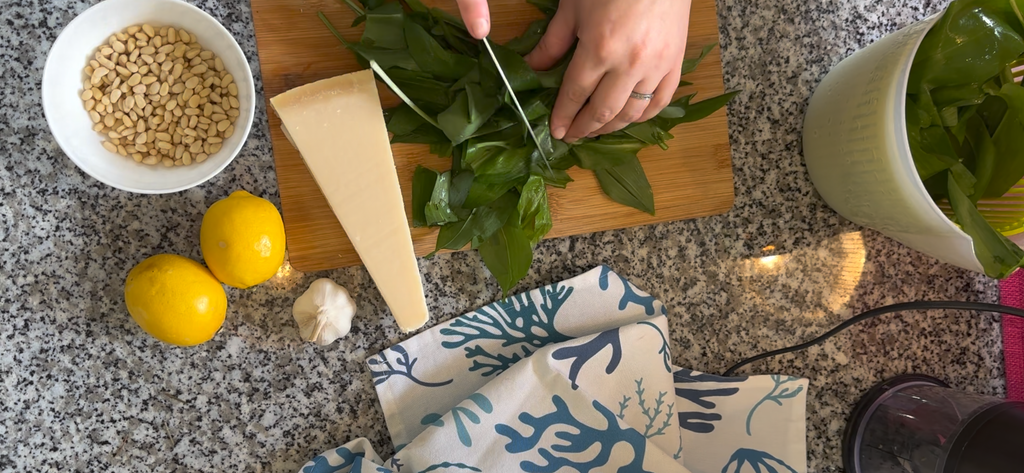 A SeaKisses Wild Garlic Pesto Adventure