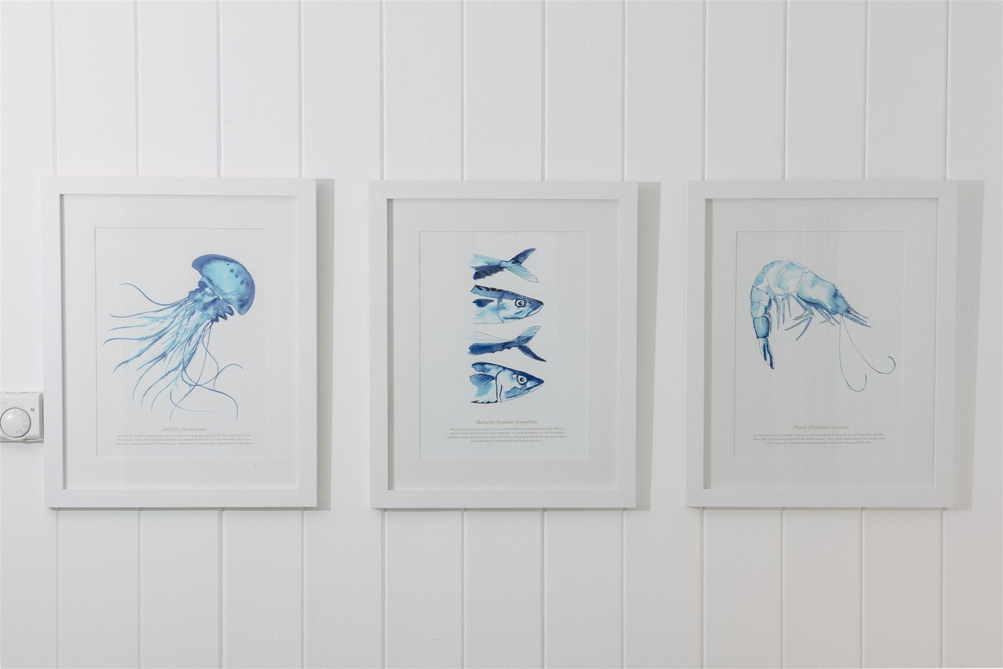 A collection of blue & white, painted sea creatures on placemats, coasters, and wall art.