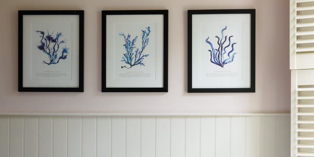 Original Watercolour Prints