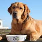 Beach Dog Bowl-SeaKisses