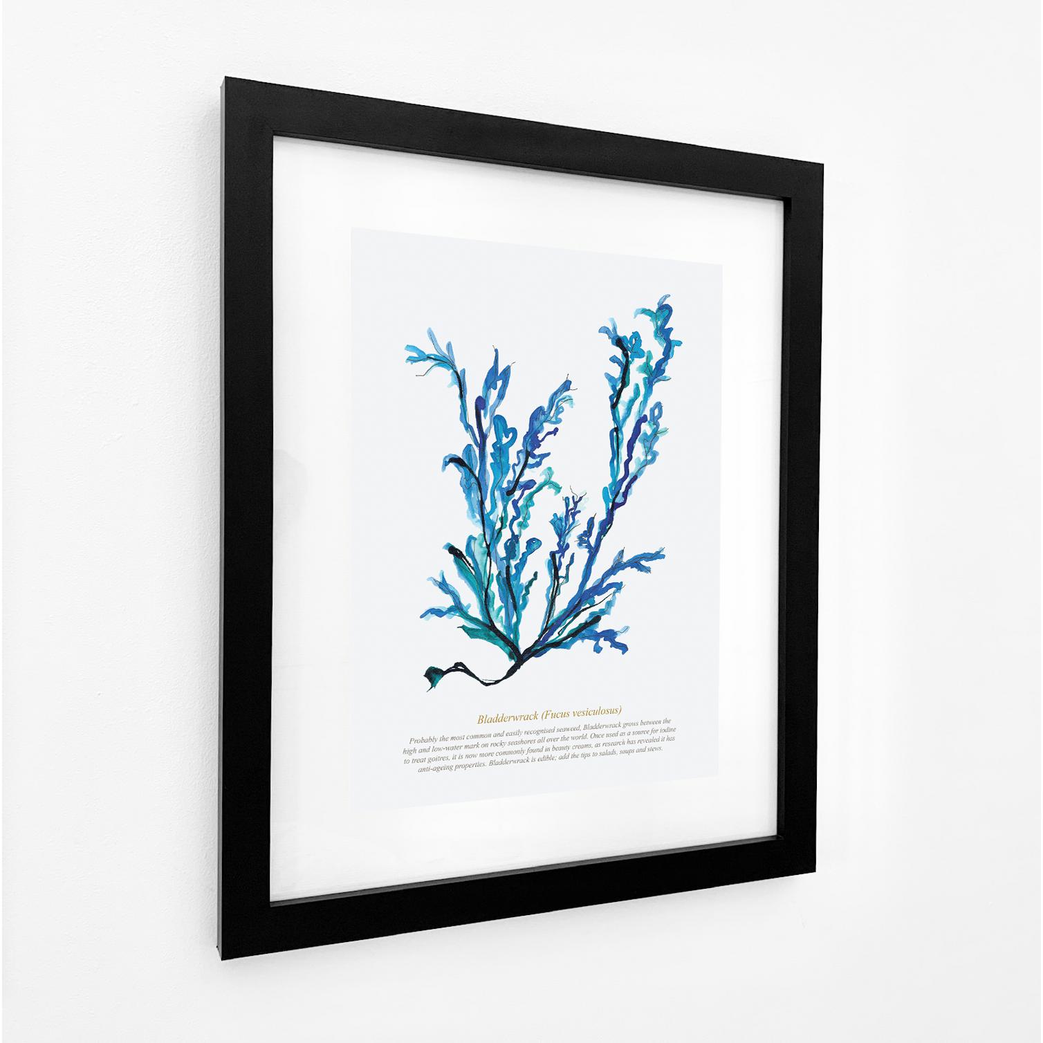 Bladderwrack Seaweed Art, Coastal Watercolour Print-SeaKisses