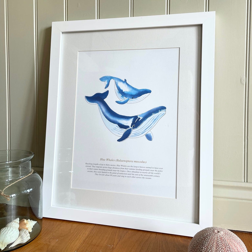 Blue Whales Watercolour Print-SeaKisses