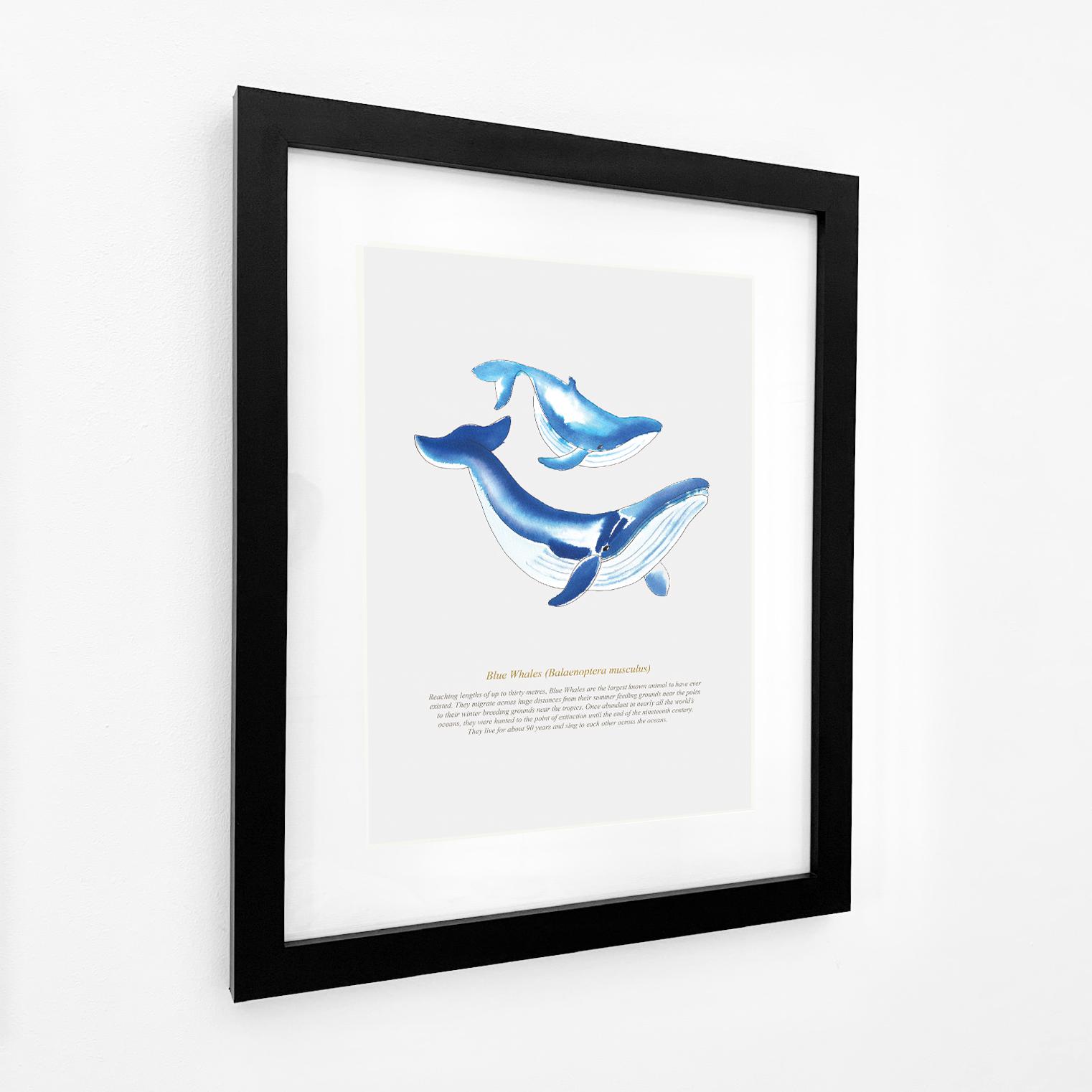 Blue Whales Coastal Art Print-SeaKisses