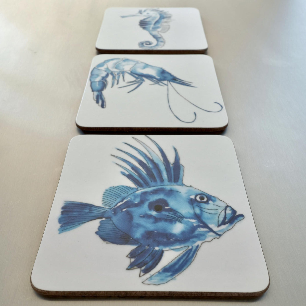 SeaLife John Dory Coaster (slight second)-SeaKisses