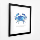 Crab Watercolour Art Print-SeaKisses