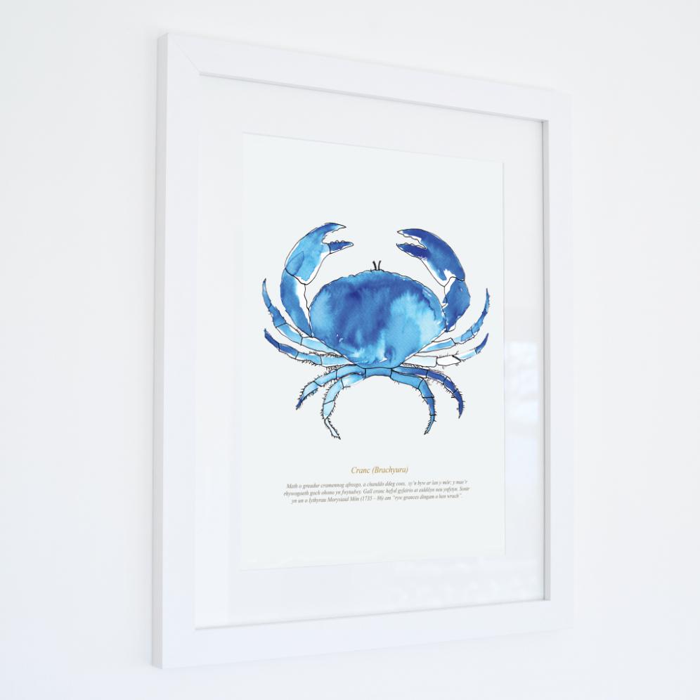 Crab Watercolour Print SeaKisses Wall Art-SeaKisses