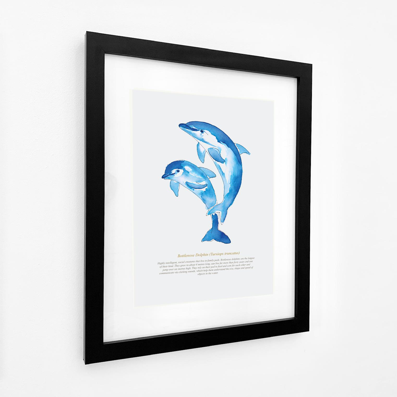 Dolphin Coastal Art Print-SeaKisses