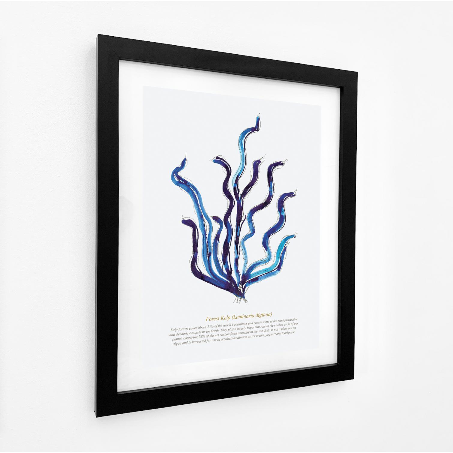 Forest Kelp Seaweed, Coastal Watercolour Print-SeaKisses