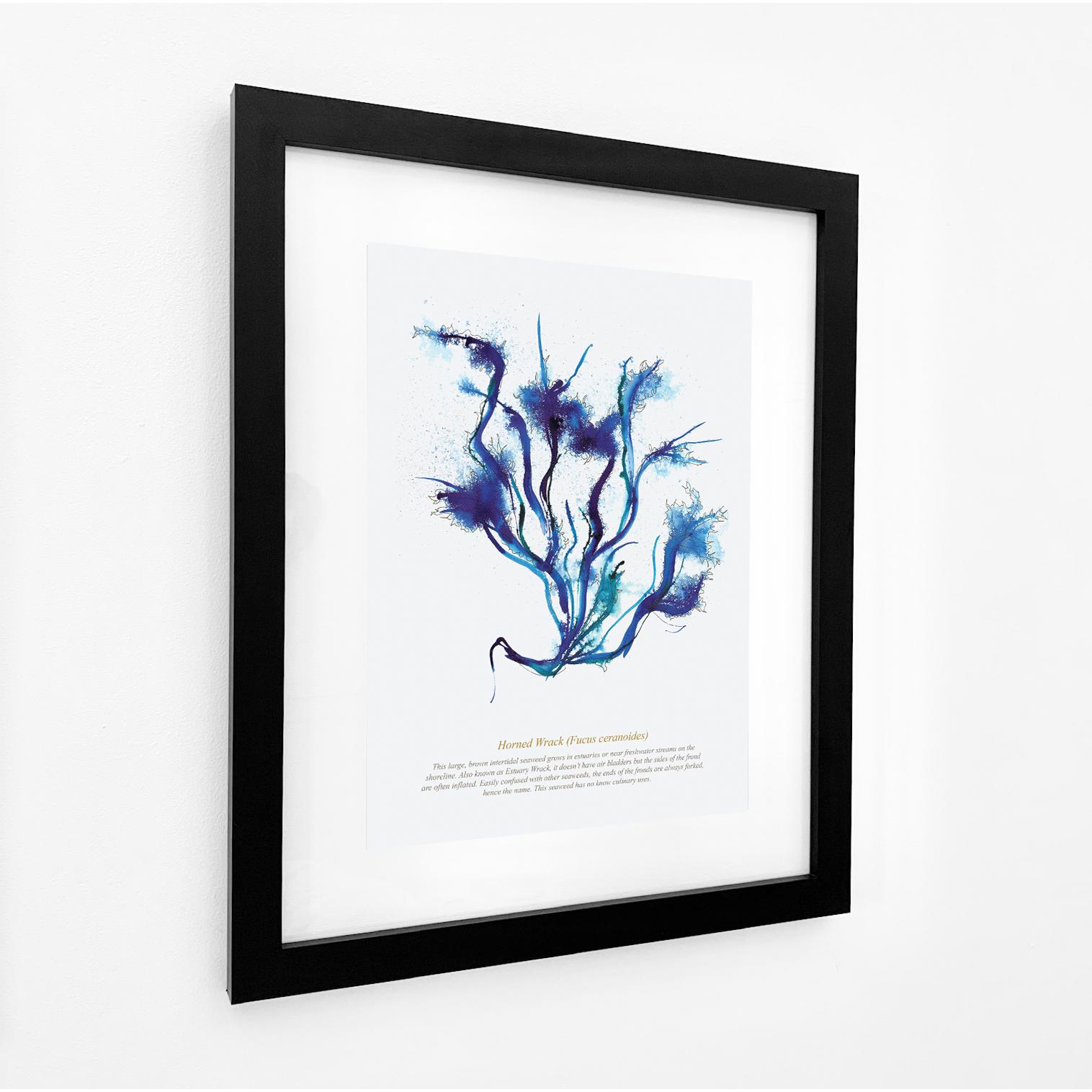 Horned Wrack Seaweed, Coastal Watercolour Print-SeaKisses