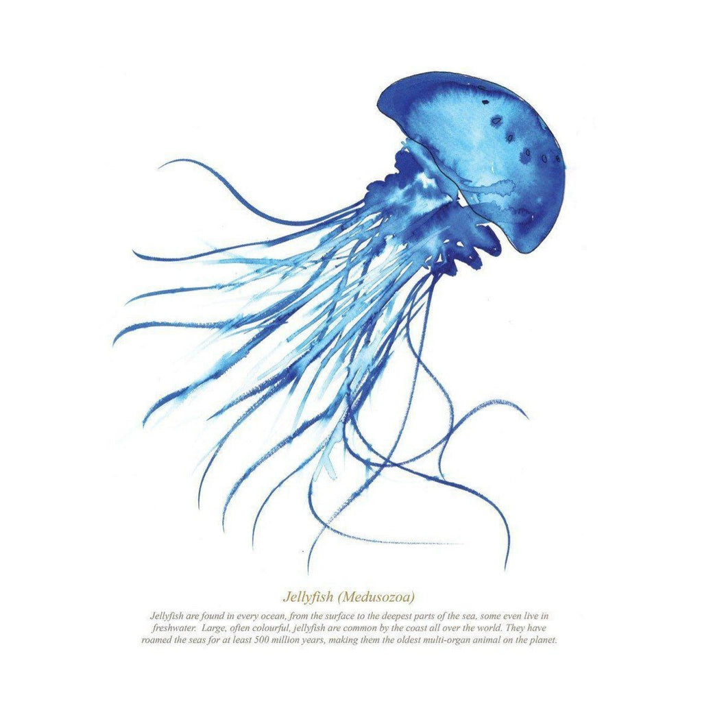 Jellyfish Watercolour Print SeaKisses Wall Art-SeaKisses