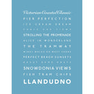 Llandudno Typographic Print-SeaKisses