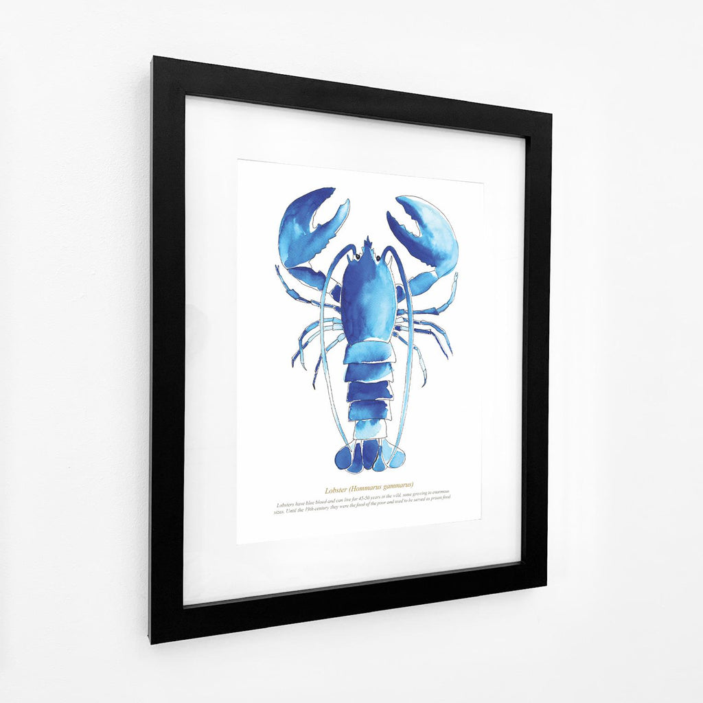 Lobster Watercolour Print SeaKisses Wall Art-SeaKisses
