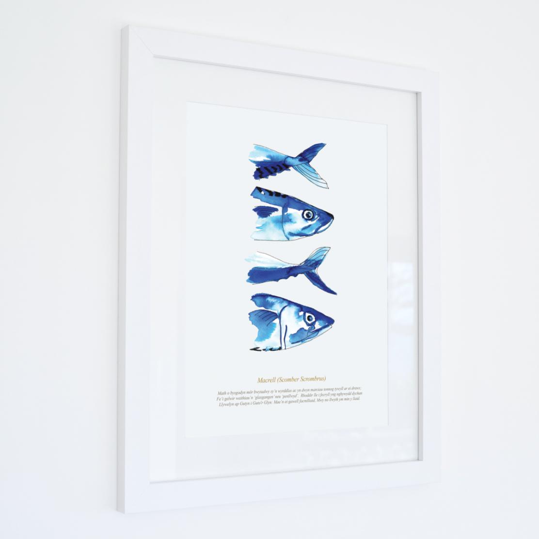 Mackerel Watercolour Art Print-SeaKisses