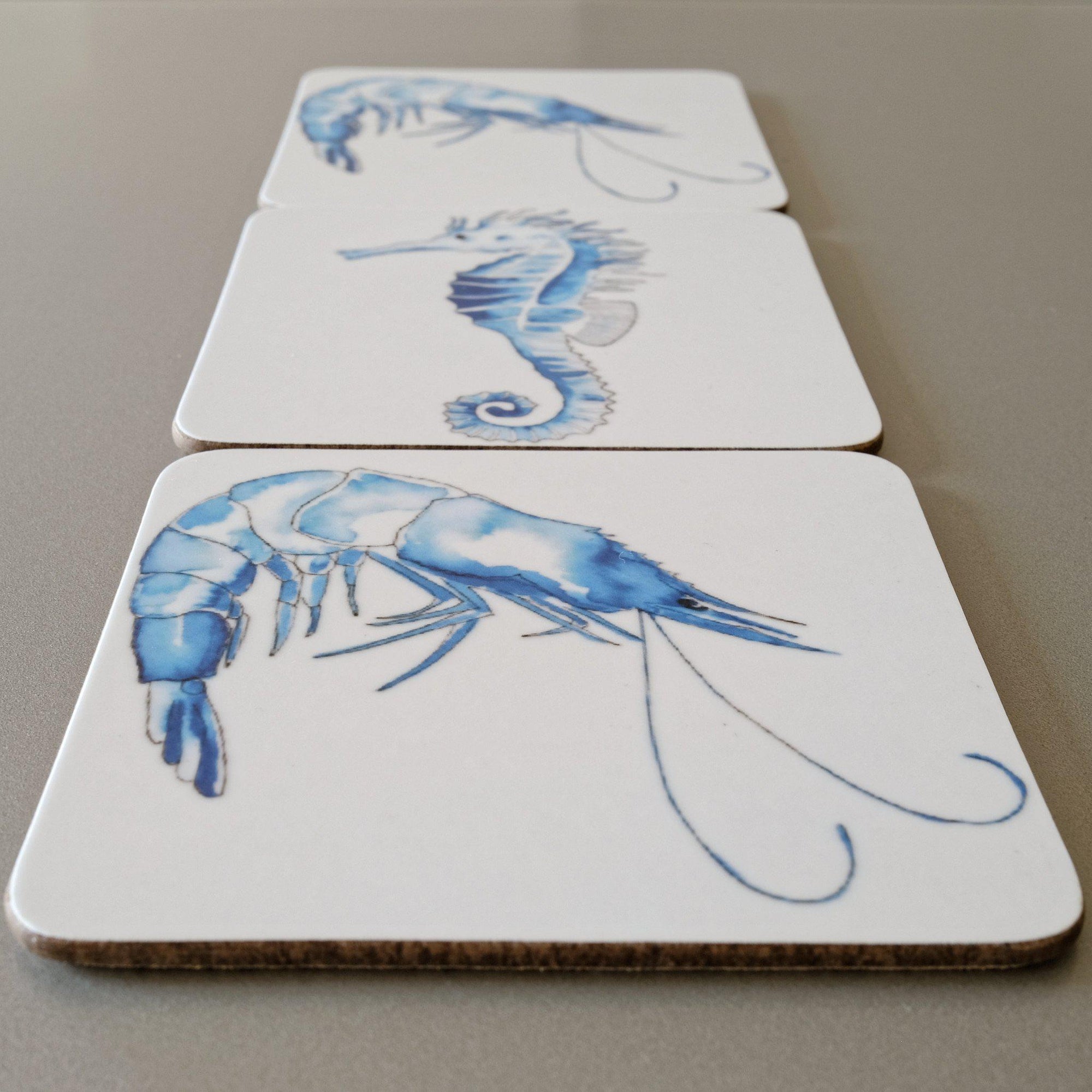 Pack of 6 SeaLife Coasters-SeaKisses