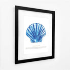 Scallop Watercolour Print-SeaKisses