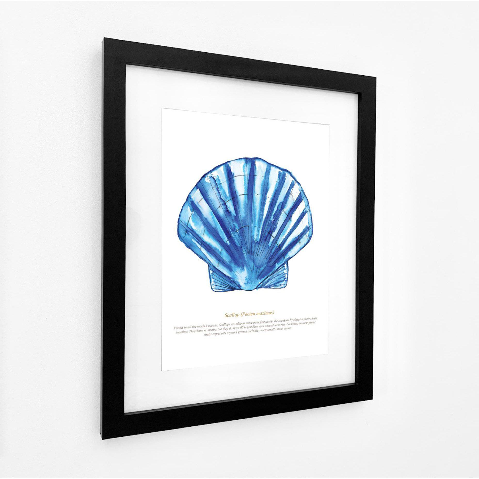 Scallop Watercolour Print-SeaKisses