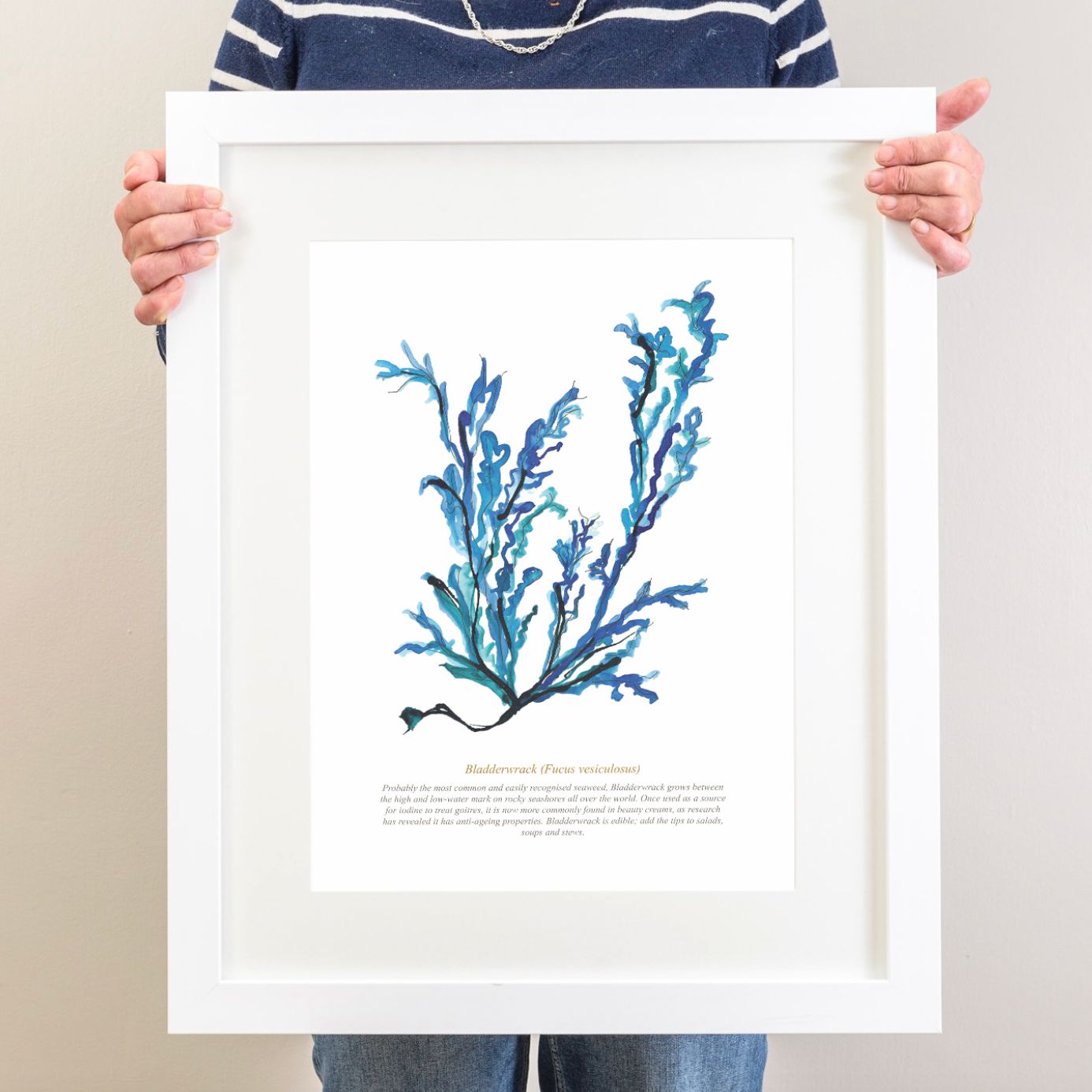 Bladderwrack Seaweed Art, Coastal Watercolour Print-SeaKisses