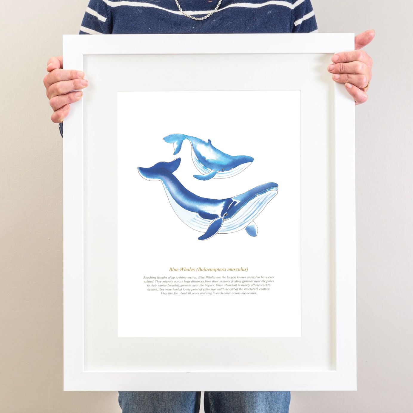 Blue Whales Coastal Art Print-SeaKisses