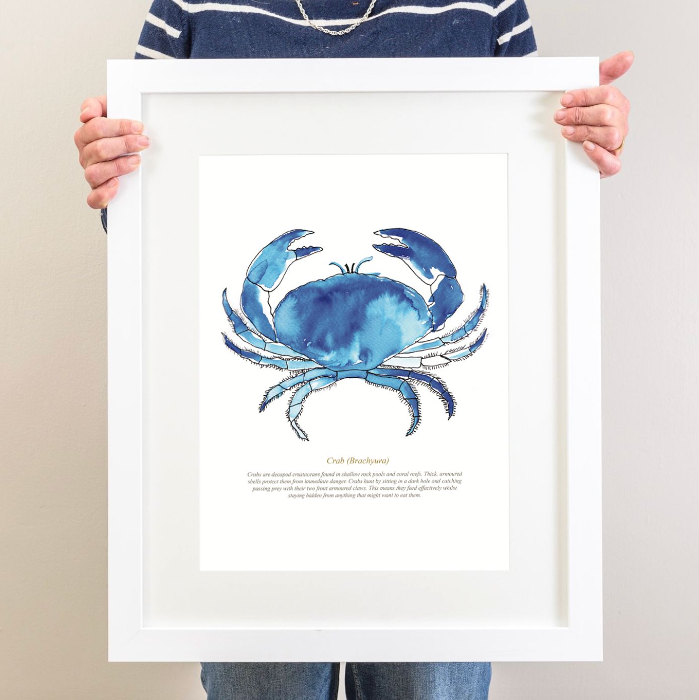 Crab Watercolour Art Print-SeaKisses