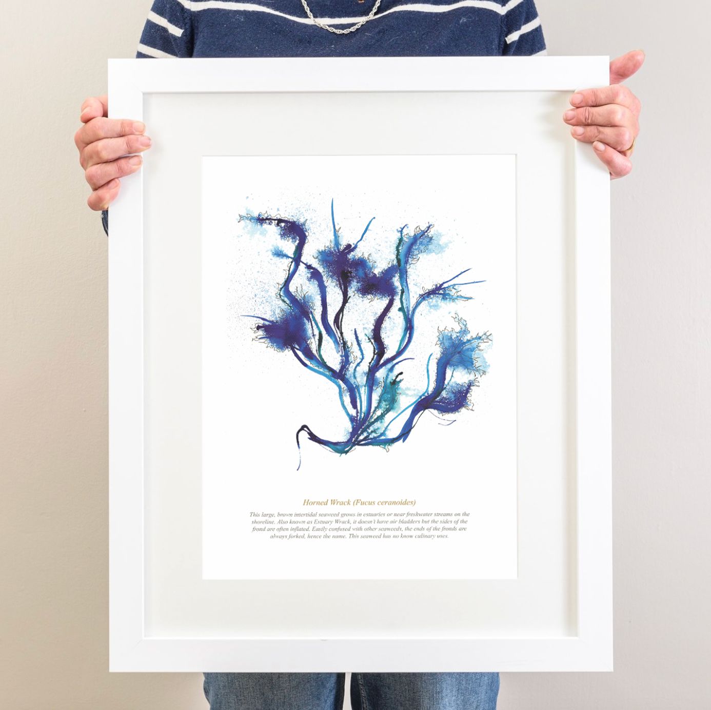 Horned Wrack Seaweed, Coastal Watercolour Print-SeaKisses