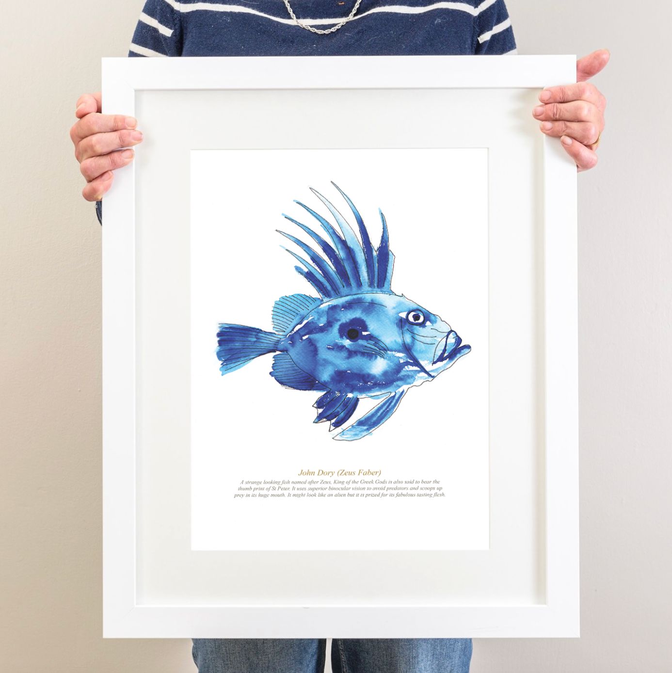 John Dory Watercolour Art Print-SeaKisses