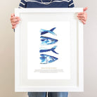 Mackerel Watercolour Art Print-SeaKisses