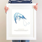 Prawn Watercolour Print-SeaKisses