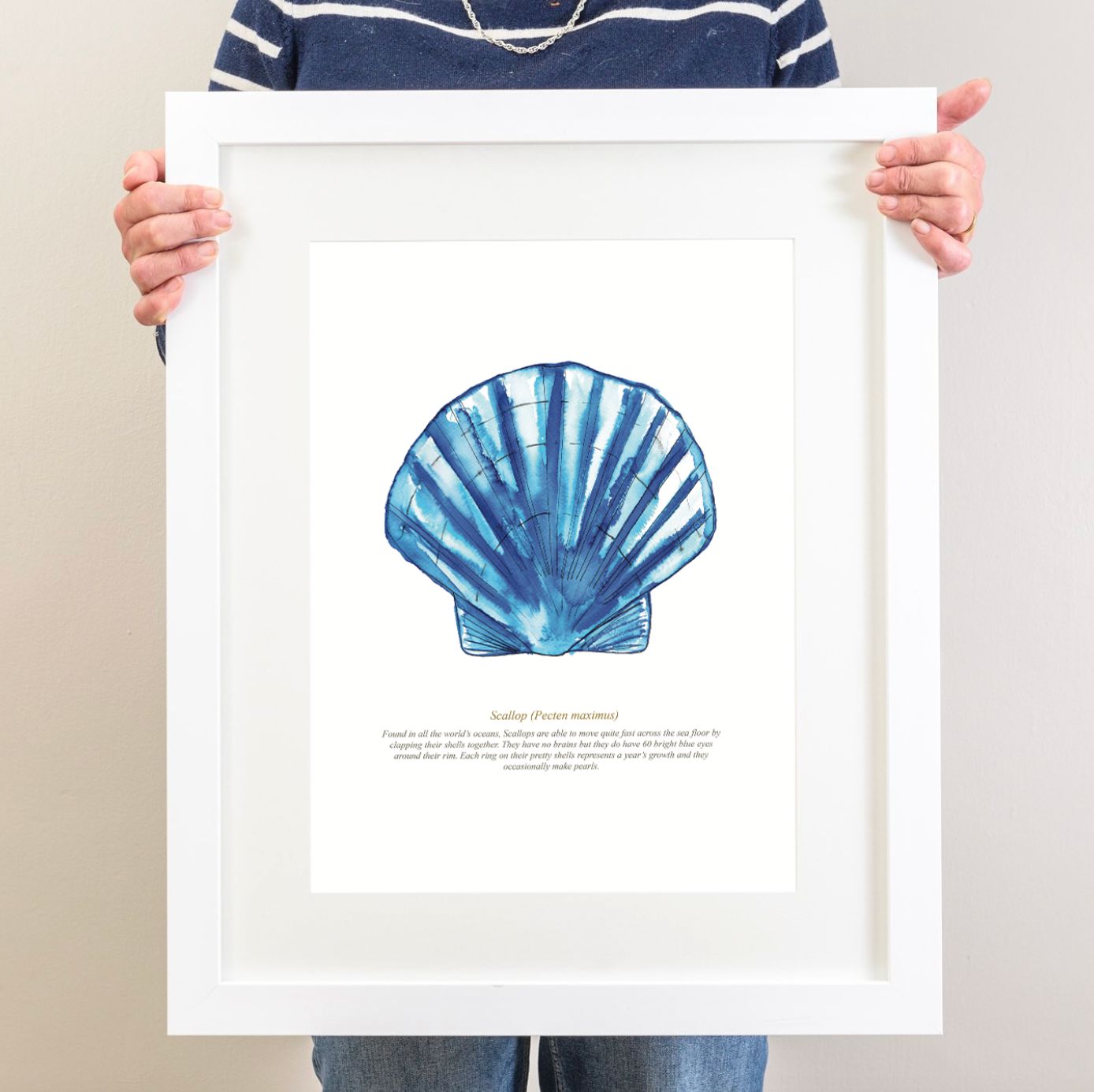 Scallop Watercolour Print-SeaKisses