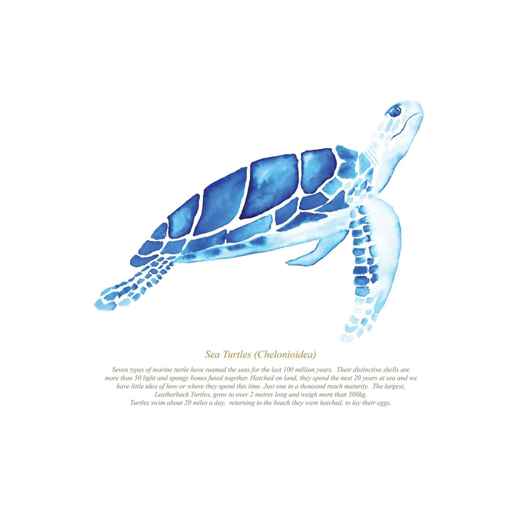 Sea Turtle Watercolour Print SeaKisses Coastal Wall Art-SeaKisses