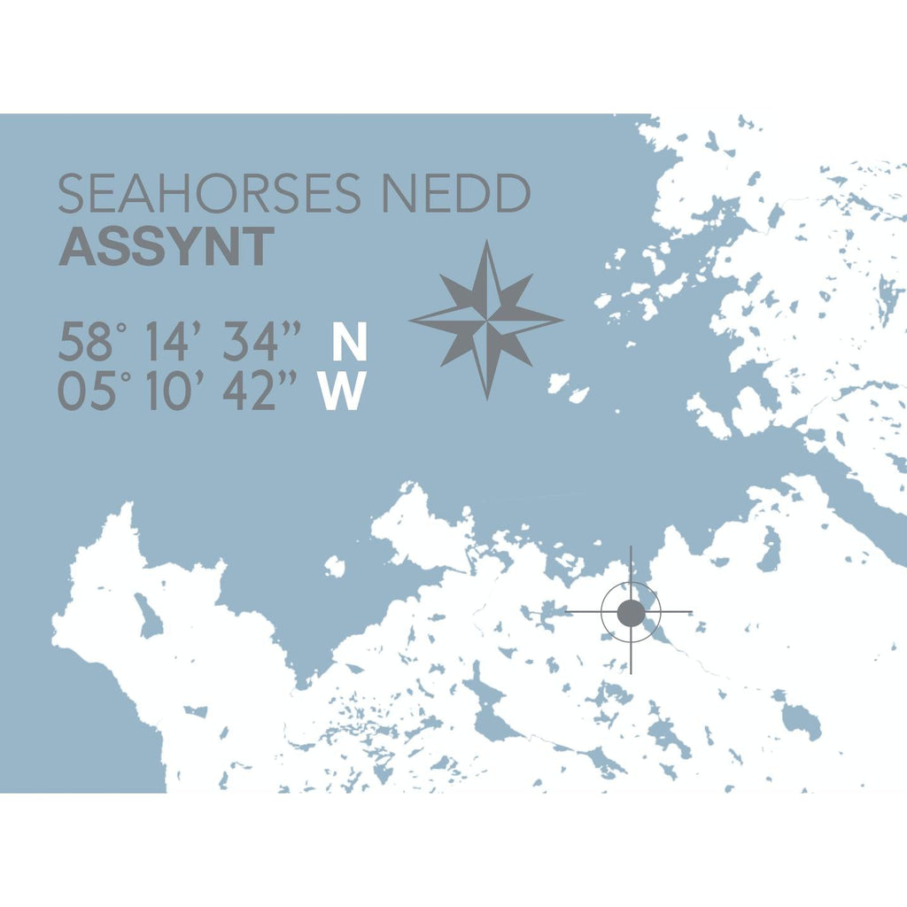 Seahorses Nedd Map Travel Print- Coastal Wall Art /Poster-SeaKisses