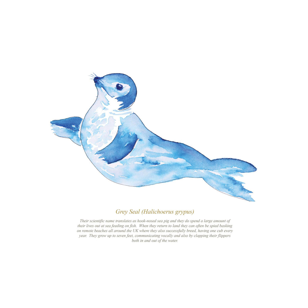 Seal Watercolour Print-SeaKisses
