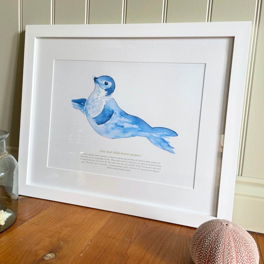 Seal Watercolour Print-SeaKisses
