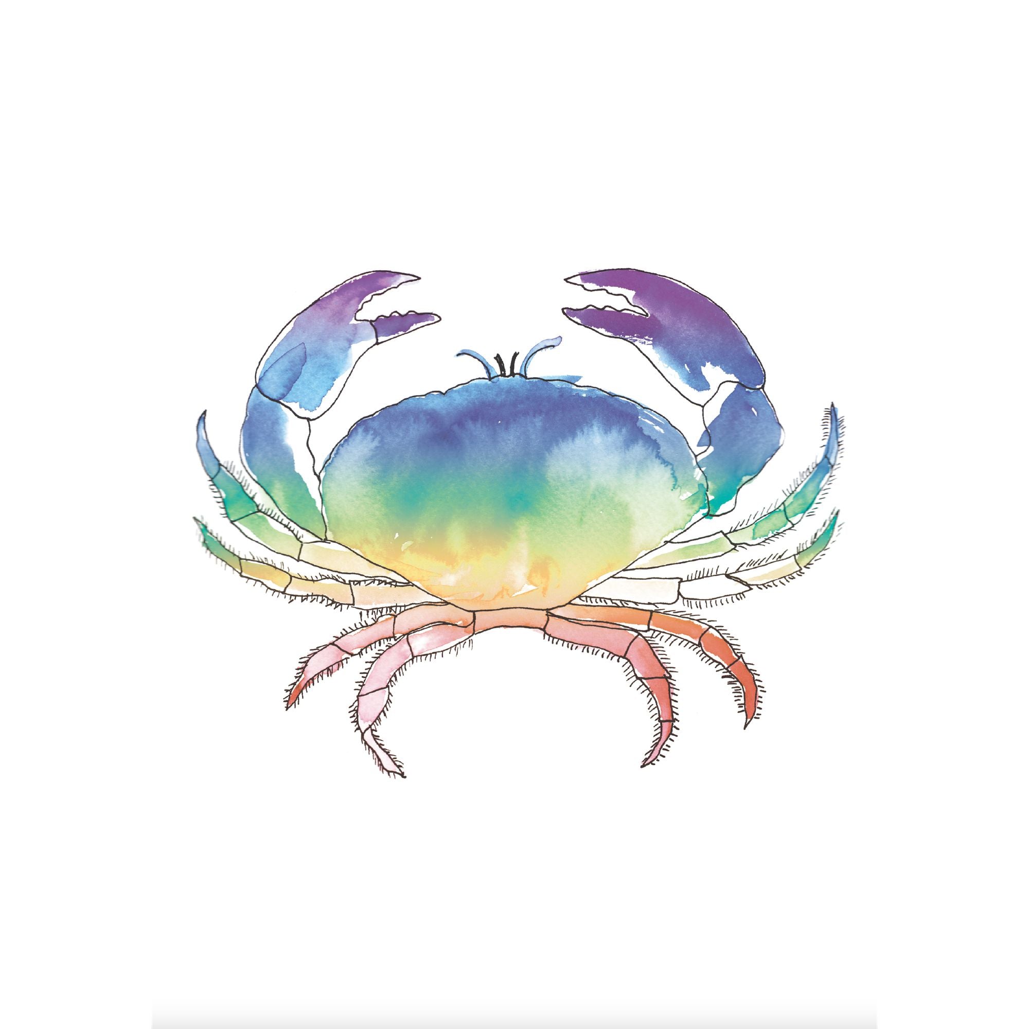 Chromatic Crab - Watercolour Print-SeaKisses