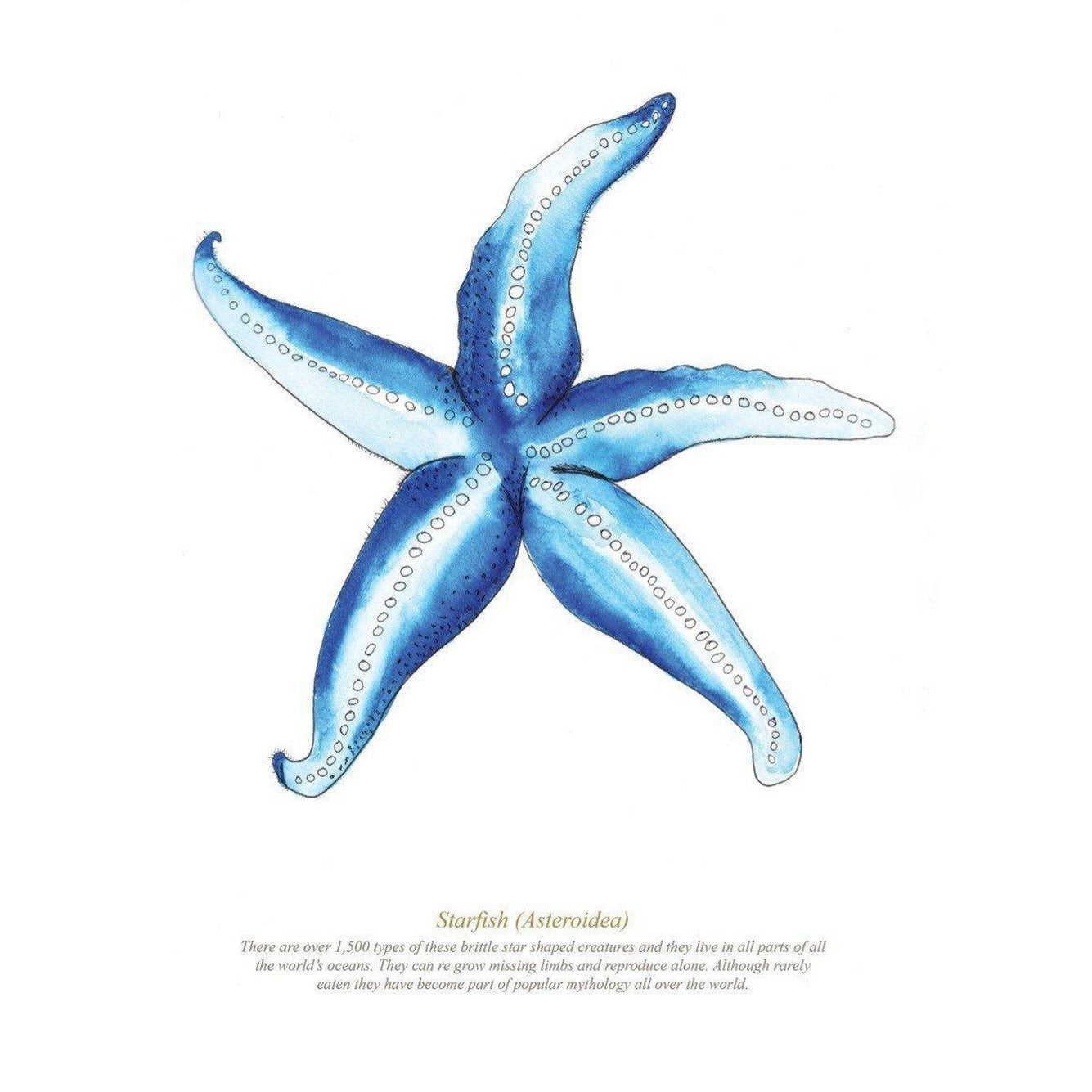 Starfish Art Print, Coastal Art-SeaKisses