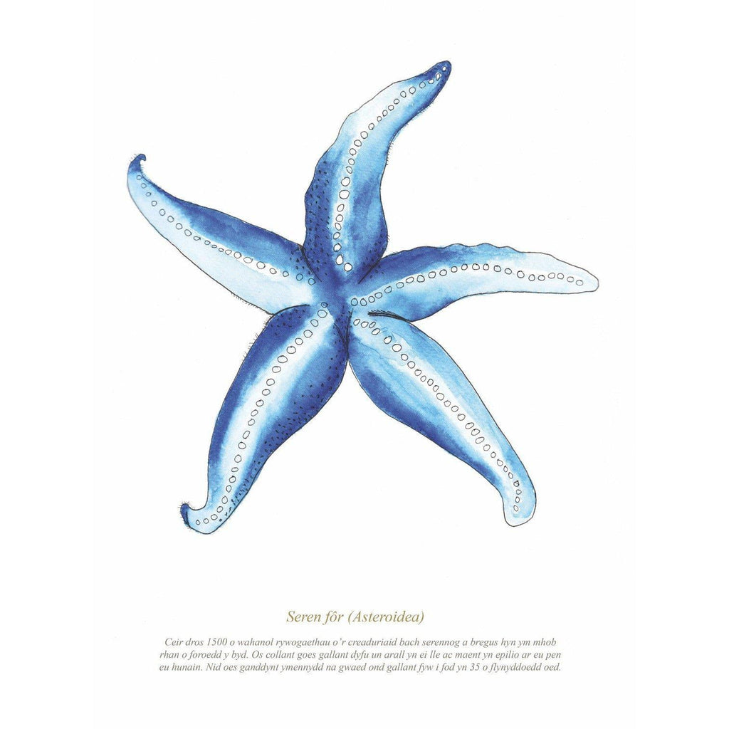 Starfish Watercolour Print SeaKisses Wall Art-SeaKisses