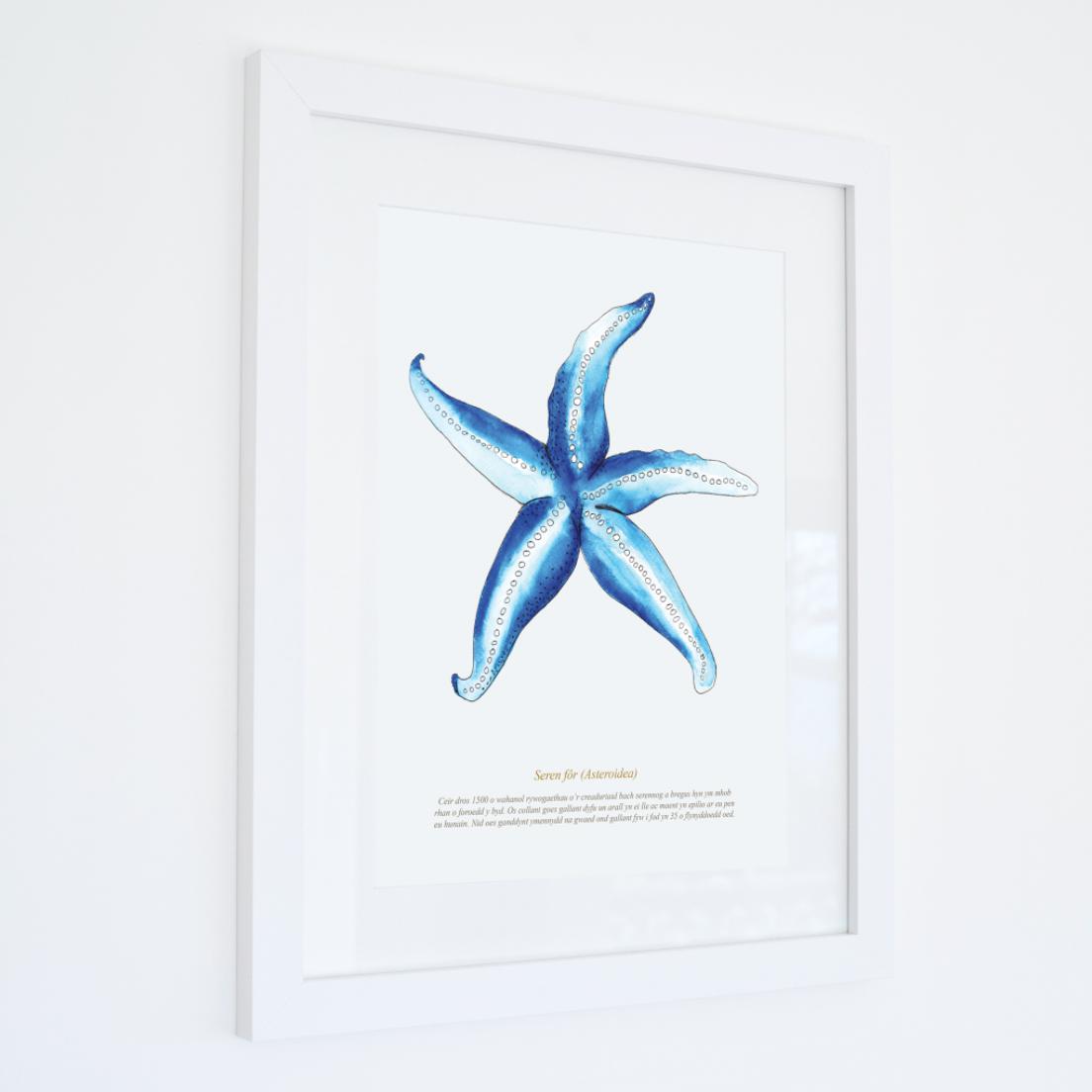 Starfish Art Print, Coastal Art-SeaKisses