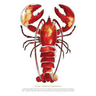 The Red Lobster Print-SeaKisses