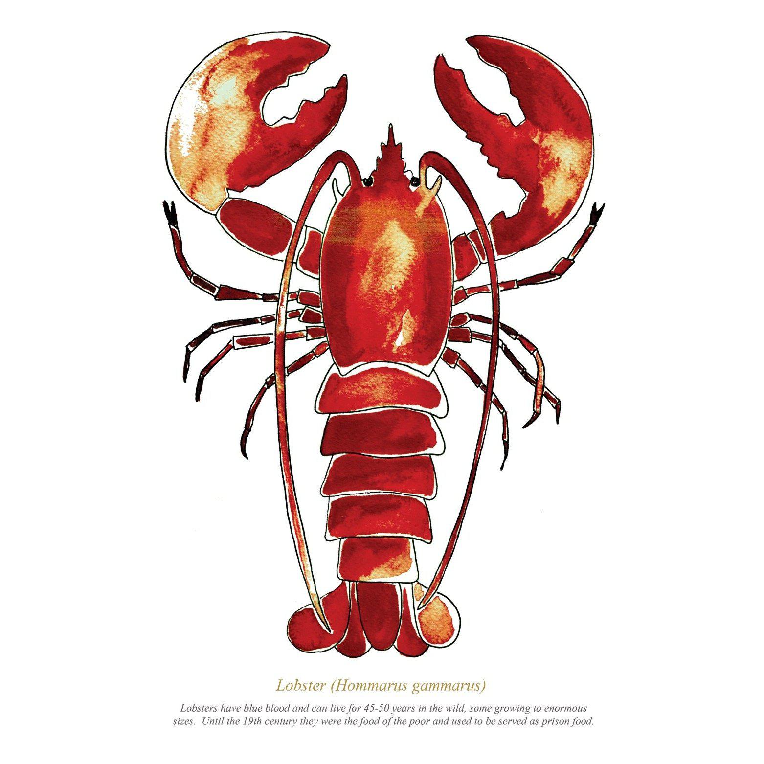 The Red Lobster Print-SeaKisses